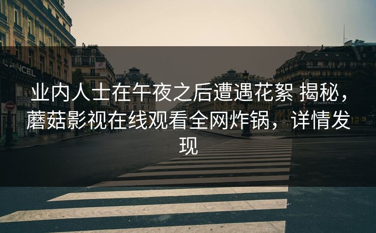 业内人士在午夜之后遭遇花絮 揭秘，蘑菇影视在线观看全网炸锅，详情发现