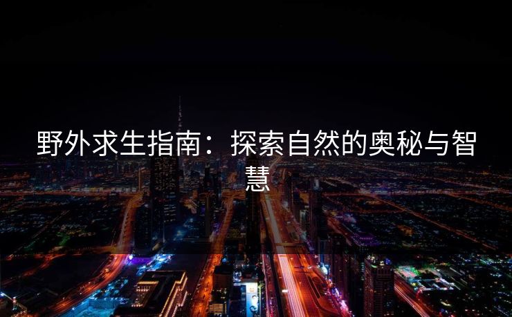 野外求生指南:探索自然的奥秘与智慧 野外求生指南:探索自然的奥秘与智慧