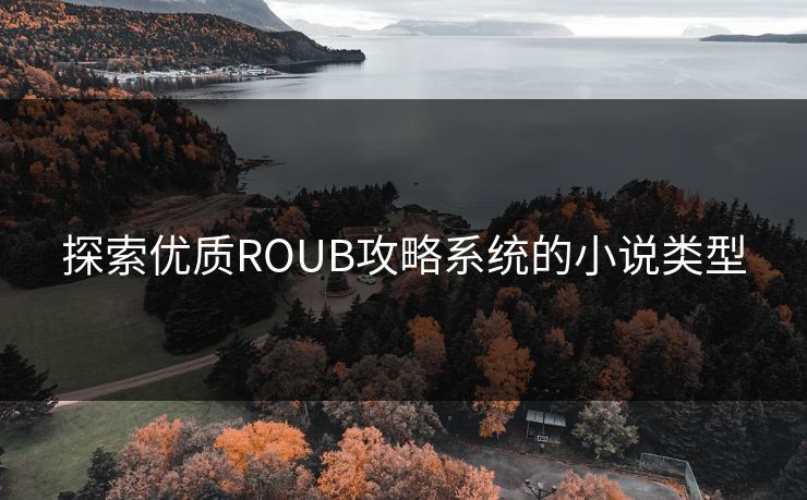 探索优质ROUB攻略系统的小说类型