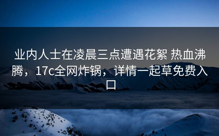 业内人士在凌晨三点遭遇花絮 热血沸腾，17c全网炸锅，详情一起草免费入口