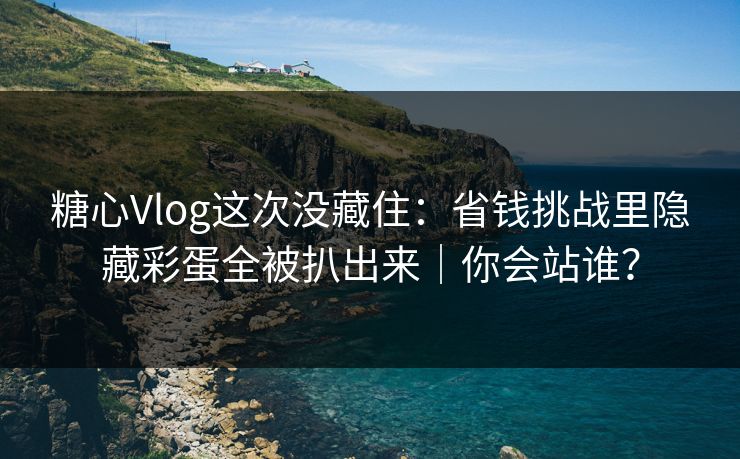 糖心Vlog这次没藏住:省钱挑战里隐藏彩蛋全被扒出来|你会站谁?