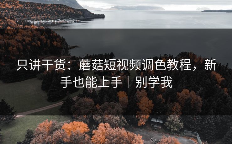 只讲干货:蘑菇短视频调色教程,新手也能上手|别学我